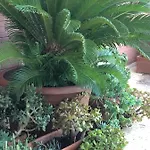 아파트 Casa Merini