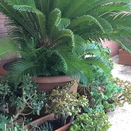 Apartment Casa Merini