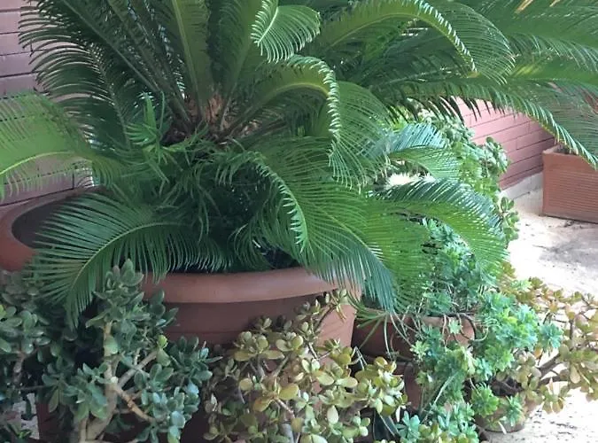 Apartment Casa Merini